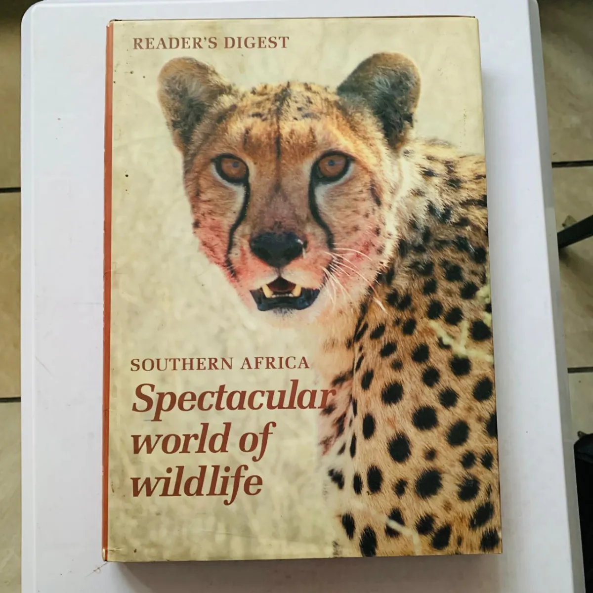 Spectacular World of Wildlife